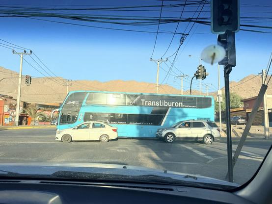 A blue bus that says "Trans tiburón" on the side. It's Spanish for "Trans shark."